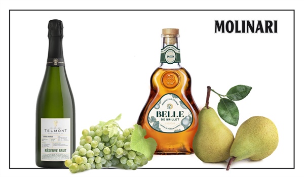 Champagne Telmont e Belle de Brillet diventano prodotti Molinari
